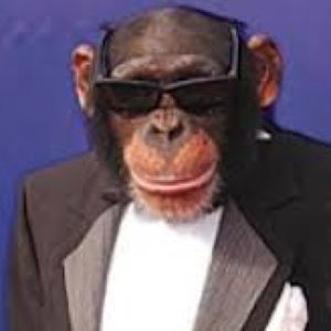 Meet your Posher, Noah